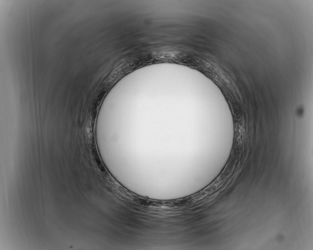 X0000099290561200805020736