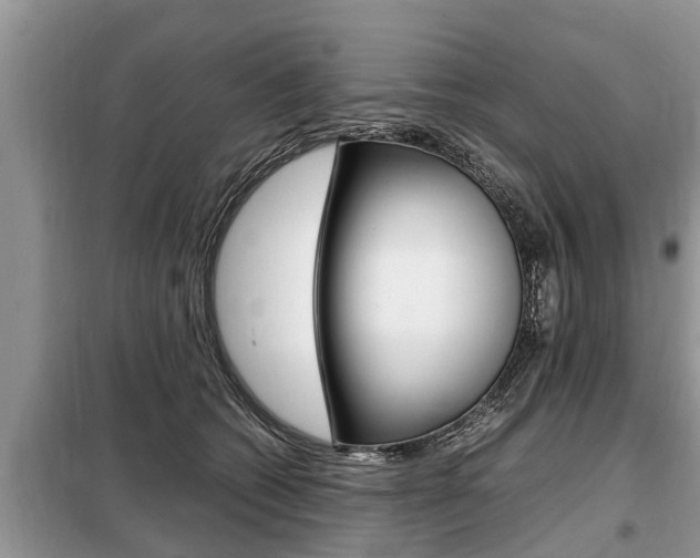X0000099290562200805020736