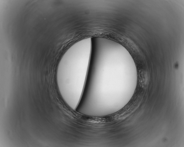 X0000099290563200805020736