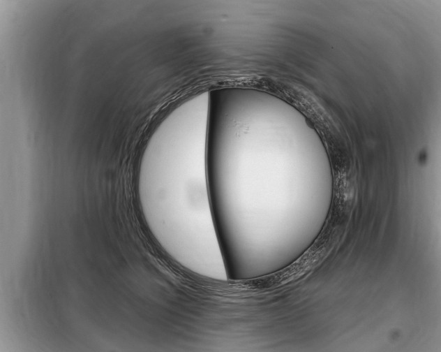 X0000099290564200805020736