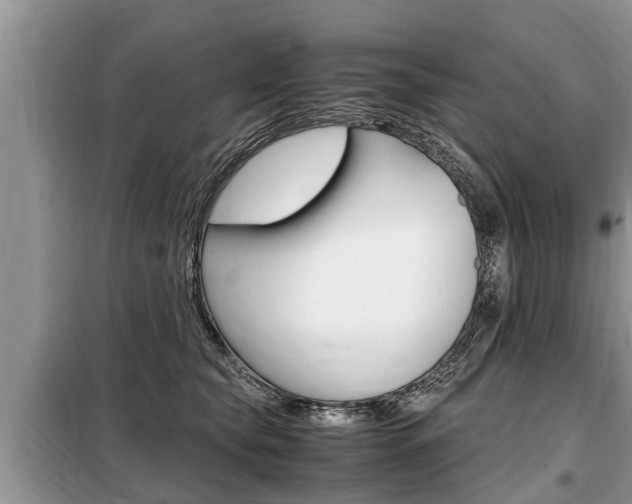 X0000099290565200805020736