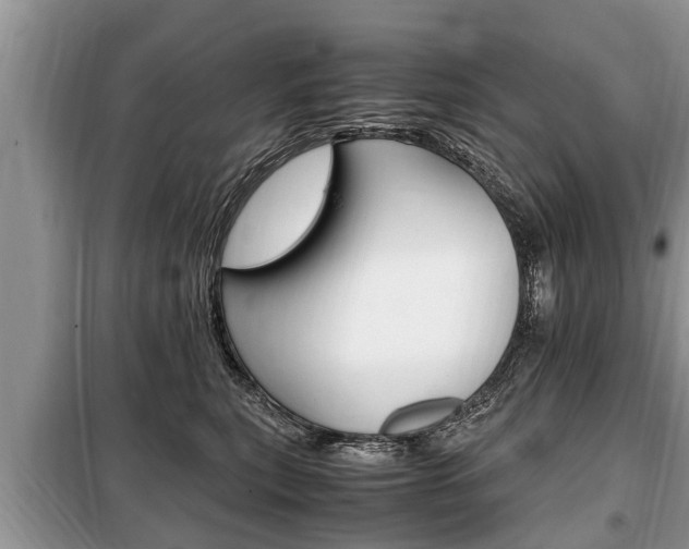 X0000099290567200805020736
