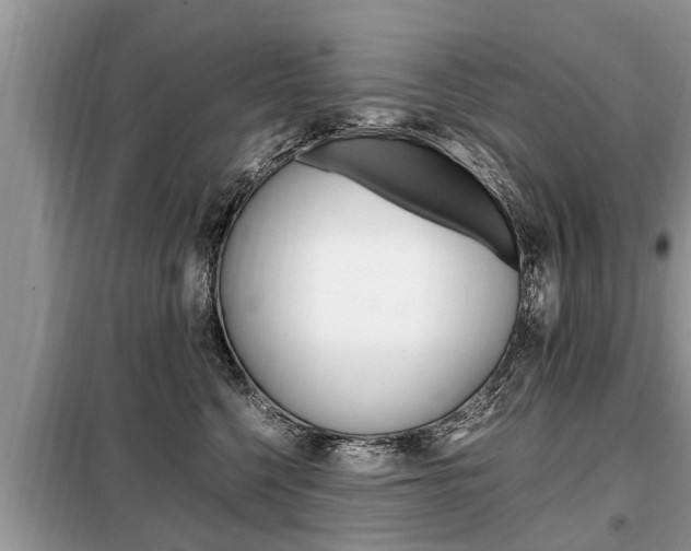 X0000099290568200805020736