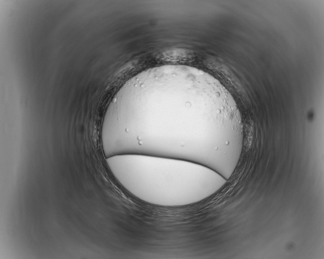 X0000099290569200805020736