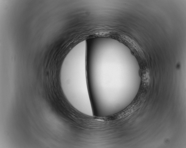 X0000099290572200805020736