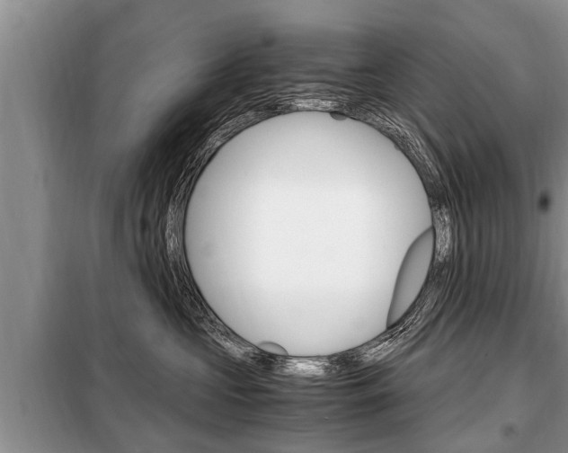 X0000099290573200805020736