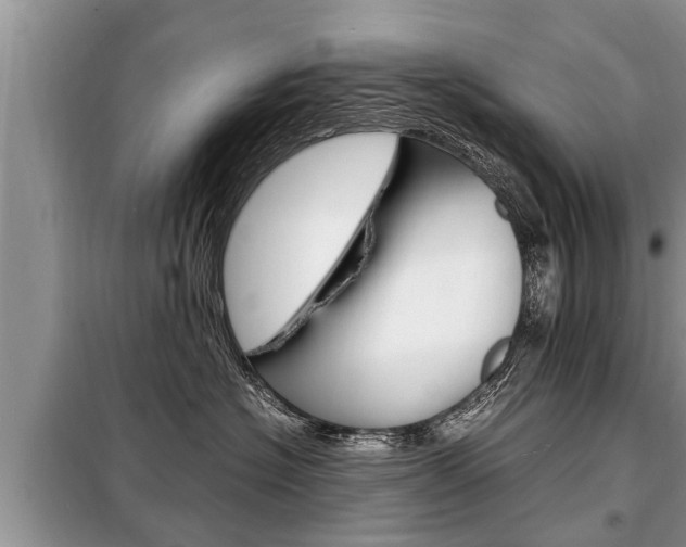 X0000099290574200805020736