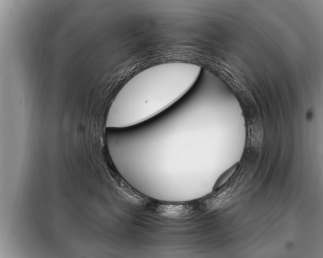 X0000099290575200805020736