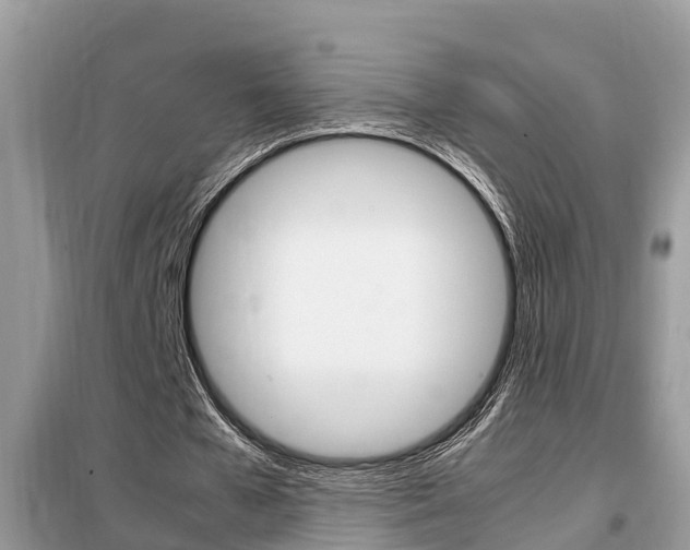 X0000099290577200805020735