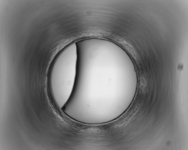 X0000099290578200805020735
