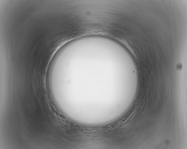 X0000099290579200805020735