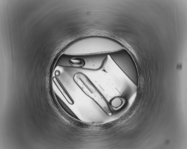 X0000099290581200805020735