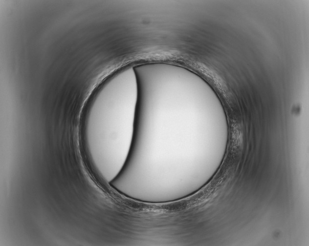 X0000099290582200805020735