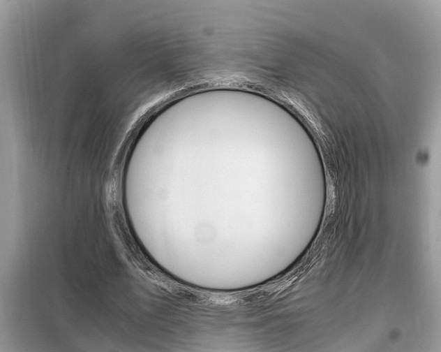 X0000099290583200805020735