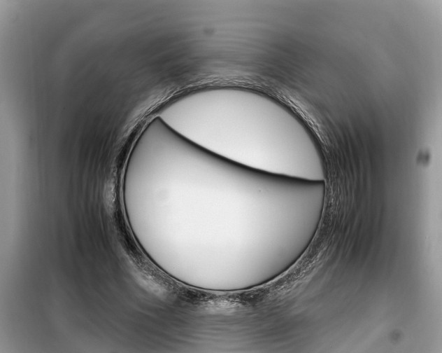 X0000099290586200805020735