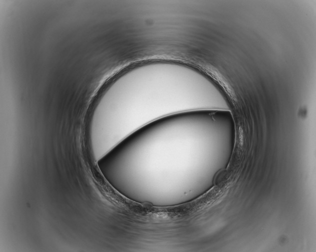 X0000099290588200805020735