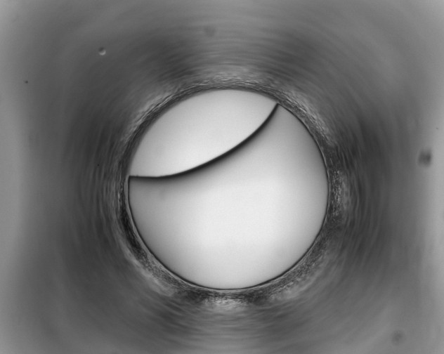 X0000099290590200805020735