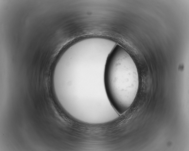 X0000099290592200805020735