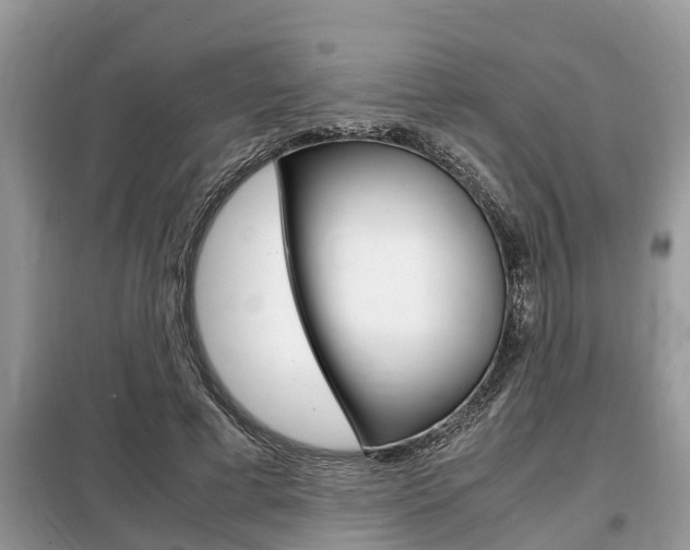 X0000099290593200805020735
