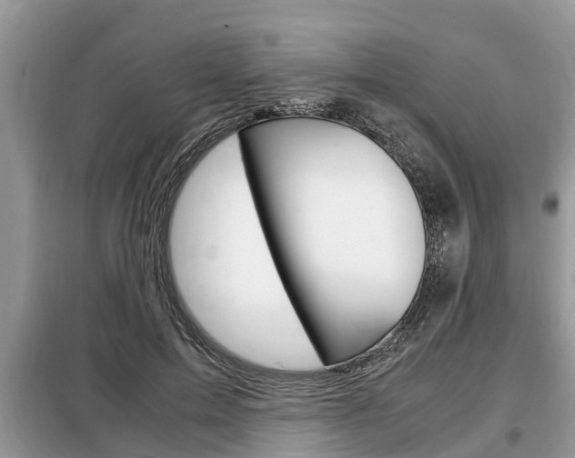 X0000099290599200805020735