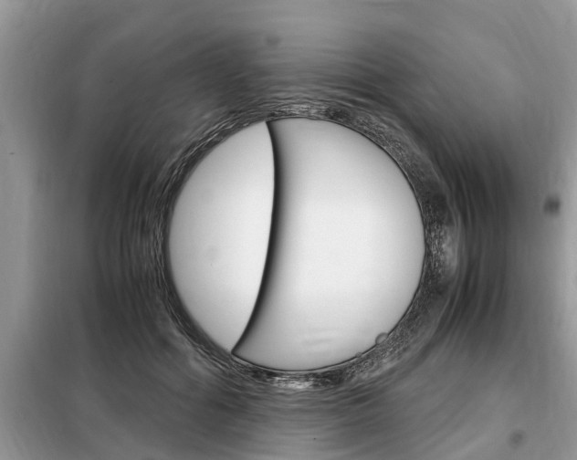 X0000099290602200805020735