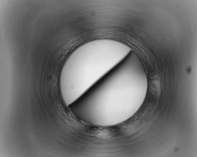 X0000099290604200805020735