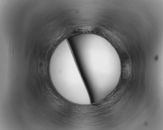 X0000099290608200805020735