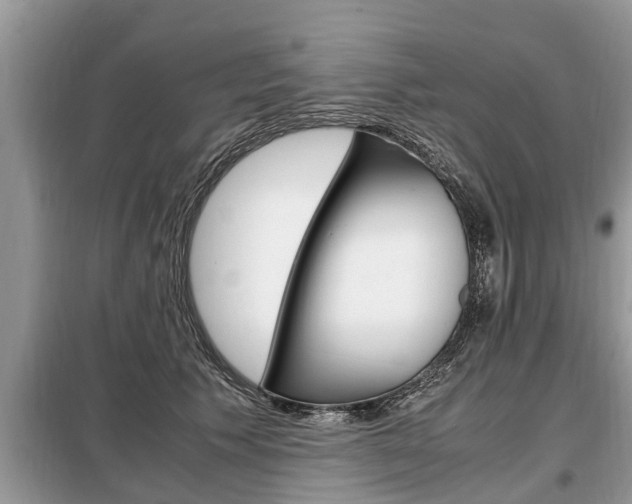X0000099290609200805020735