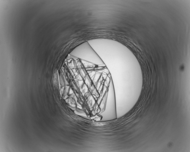 X0000099290611200805020735