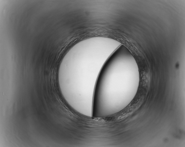 X0000099290612200805020735