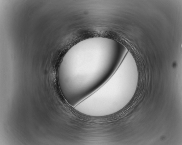 X0000099290613200805020735