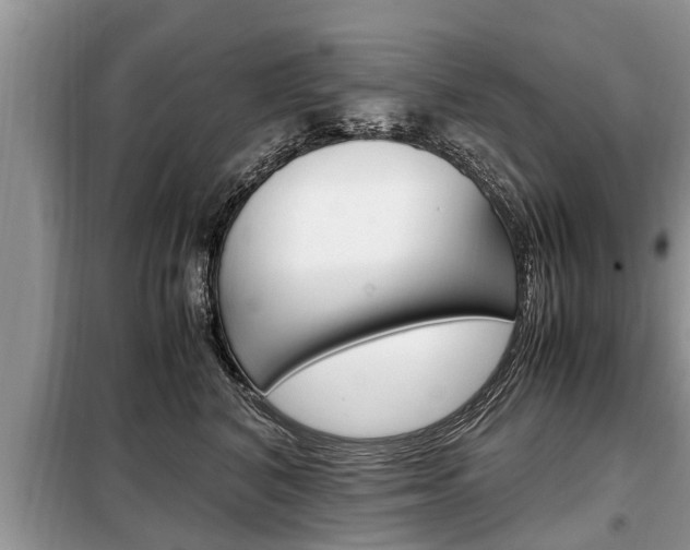 X0000099290616200805020735