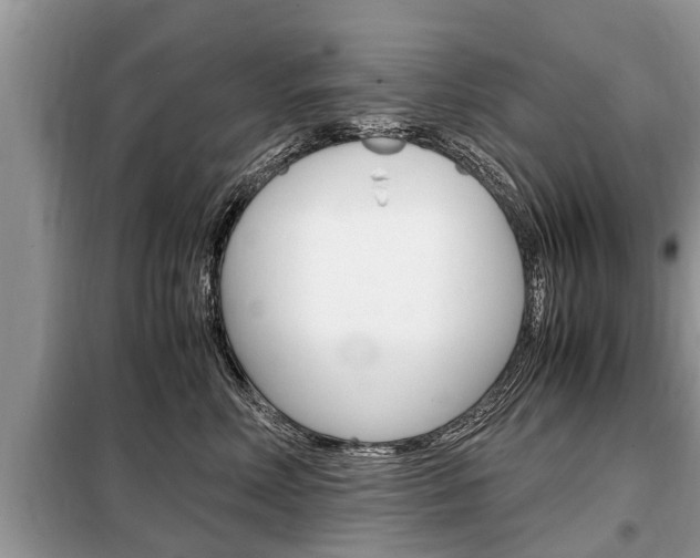X0000099290618200805020735