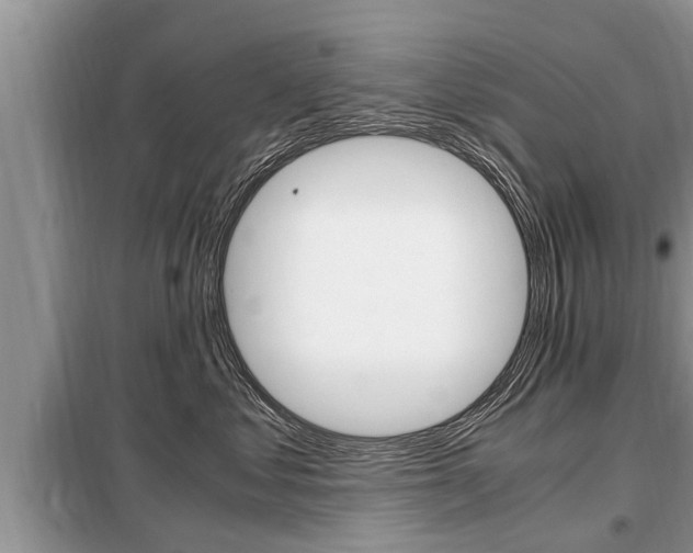 X0000099290621200805020735