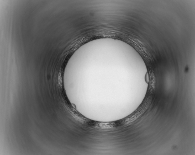 X0000099290622200805020735