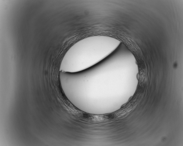 X0000099290623200805020735