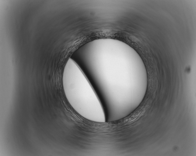 X0000099290624200805020735