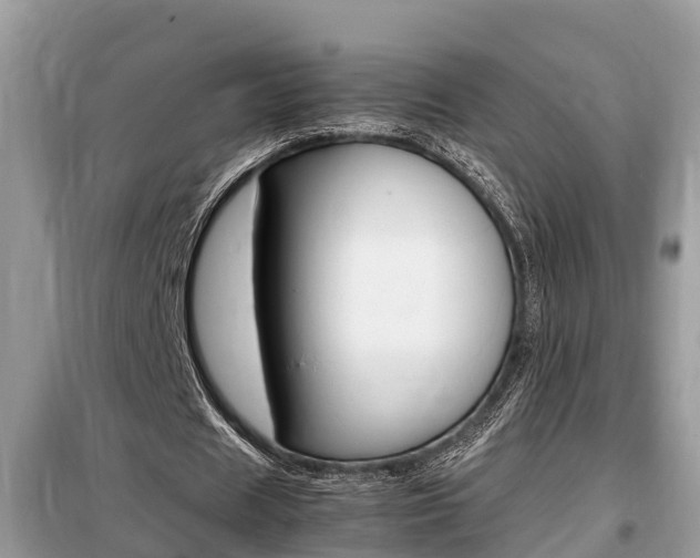 X0000099290625200805020734