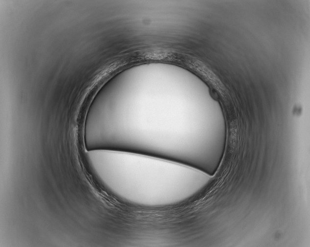 X0000099290626200805020734
