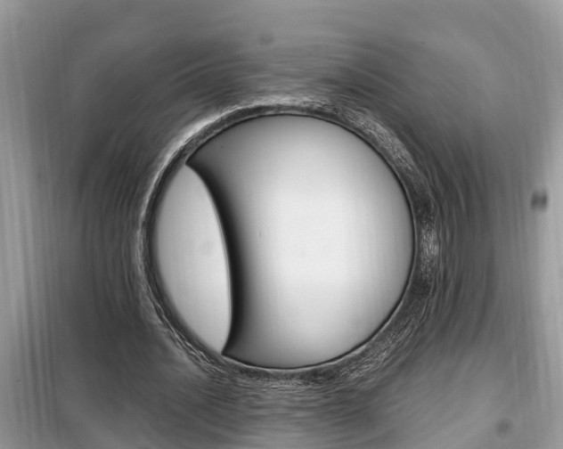 X0000099290628200805020734