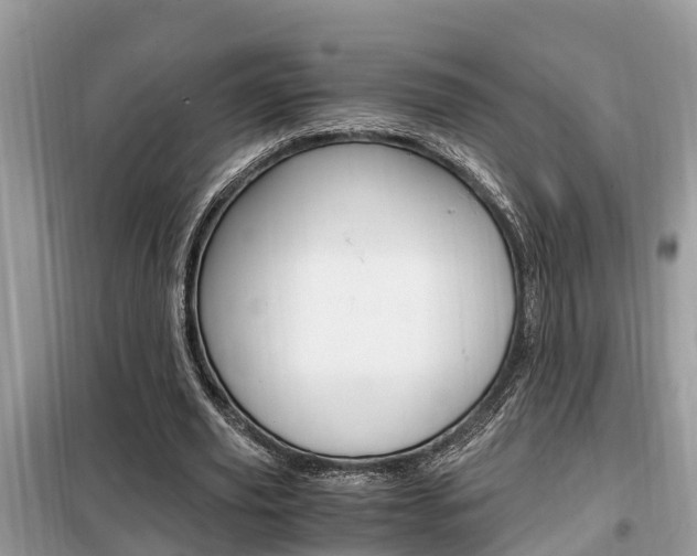 X0000099290629200805020734