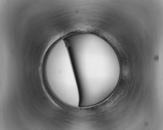 X0000099290630200805020734