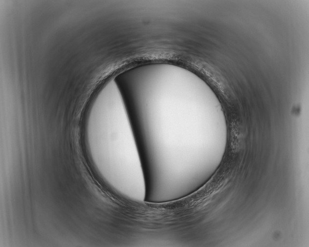 X0000099290631200805020734