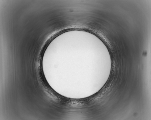 X0000099290632200805020734