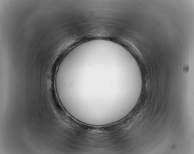 X0000099290635200805020734