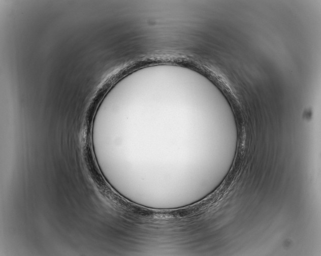 X0000099290636200805020734