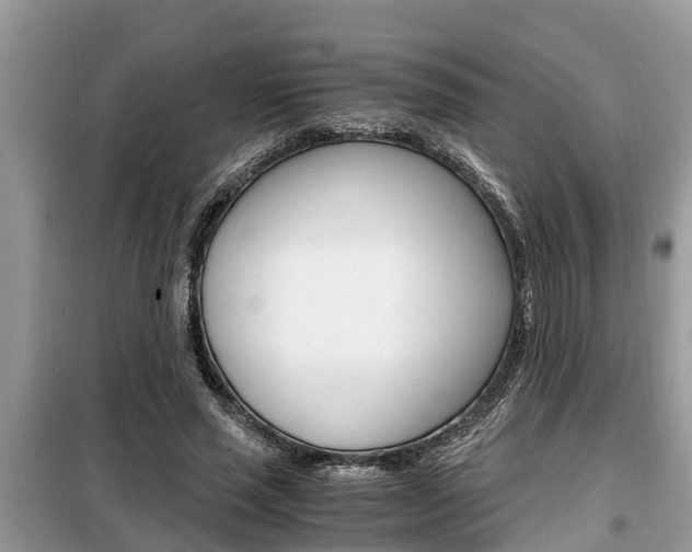 X0000099290637200805020734