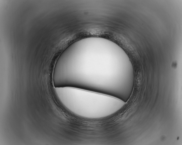 X0000099290639200805020734