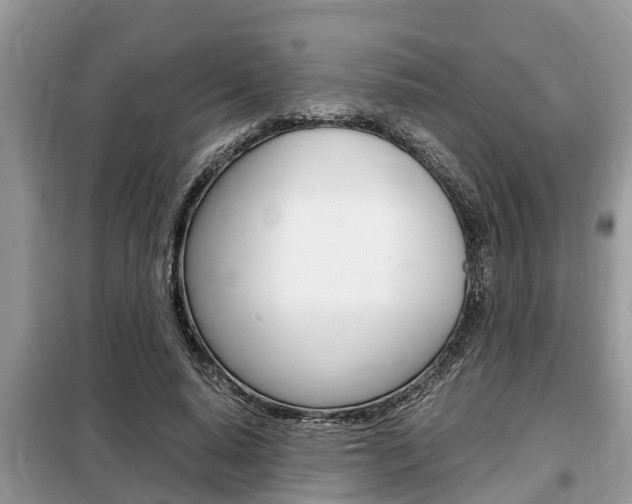X0000099290640200805020734