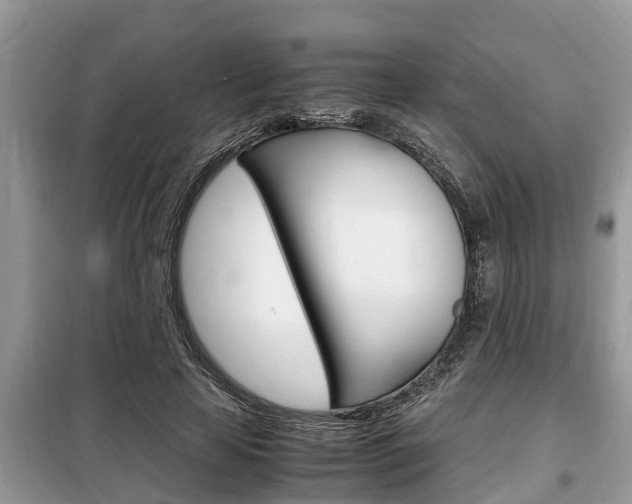 X0000099290641200805020734